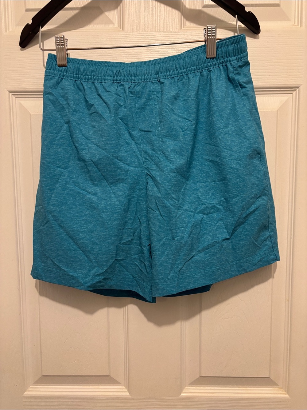 Chubbies swim trunks